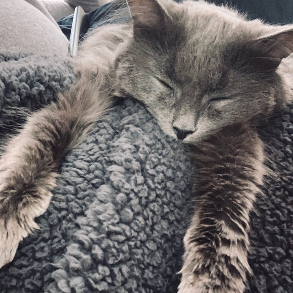 Meet your Posher, Deana - Picture 1 of 1